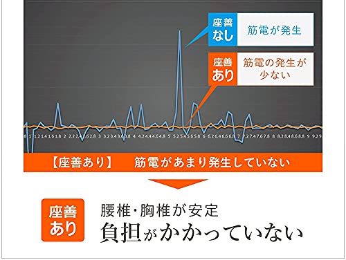 「座善（The Zen）」腰椎サポートクッション 3
