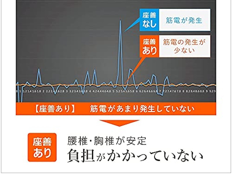 「座善(The Zen)」腰椎サポートクッション 3