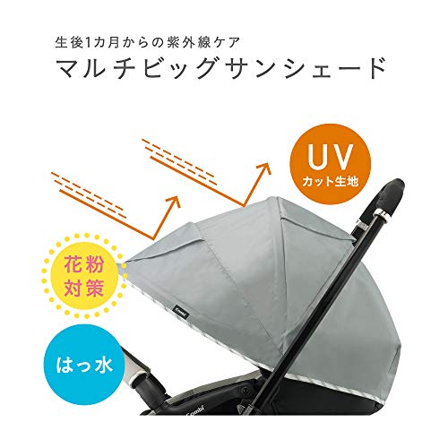 スゴカル 4キャス エアー エッグショック HK 6