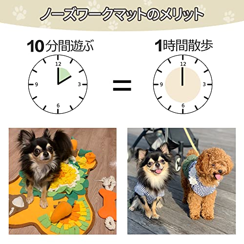 犬用おもちゃ 2
