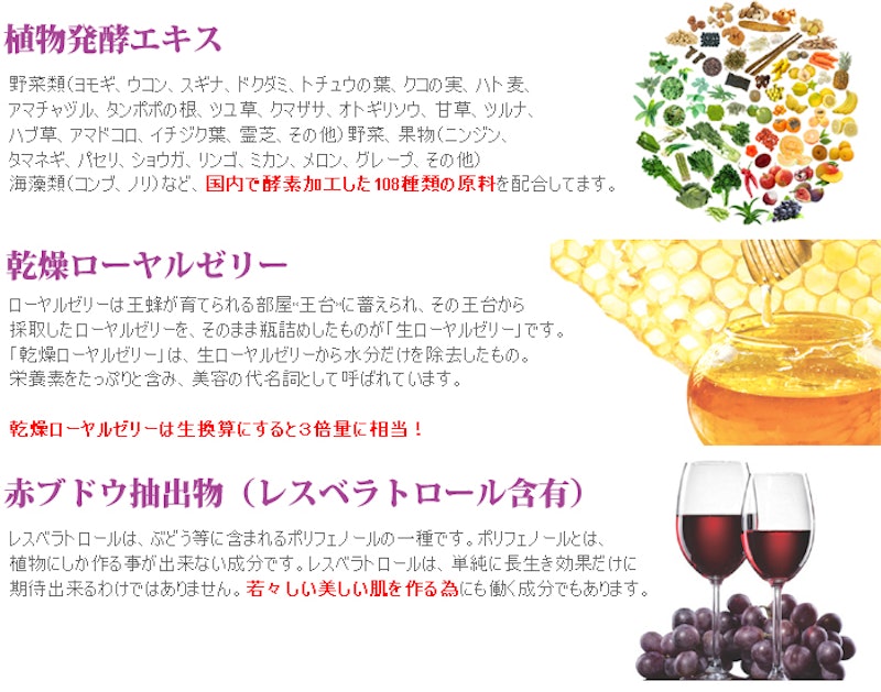LIFZYME Active 100+ 2