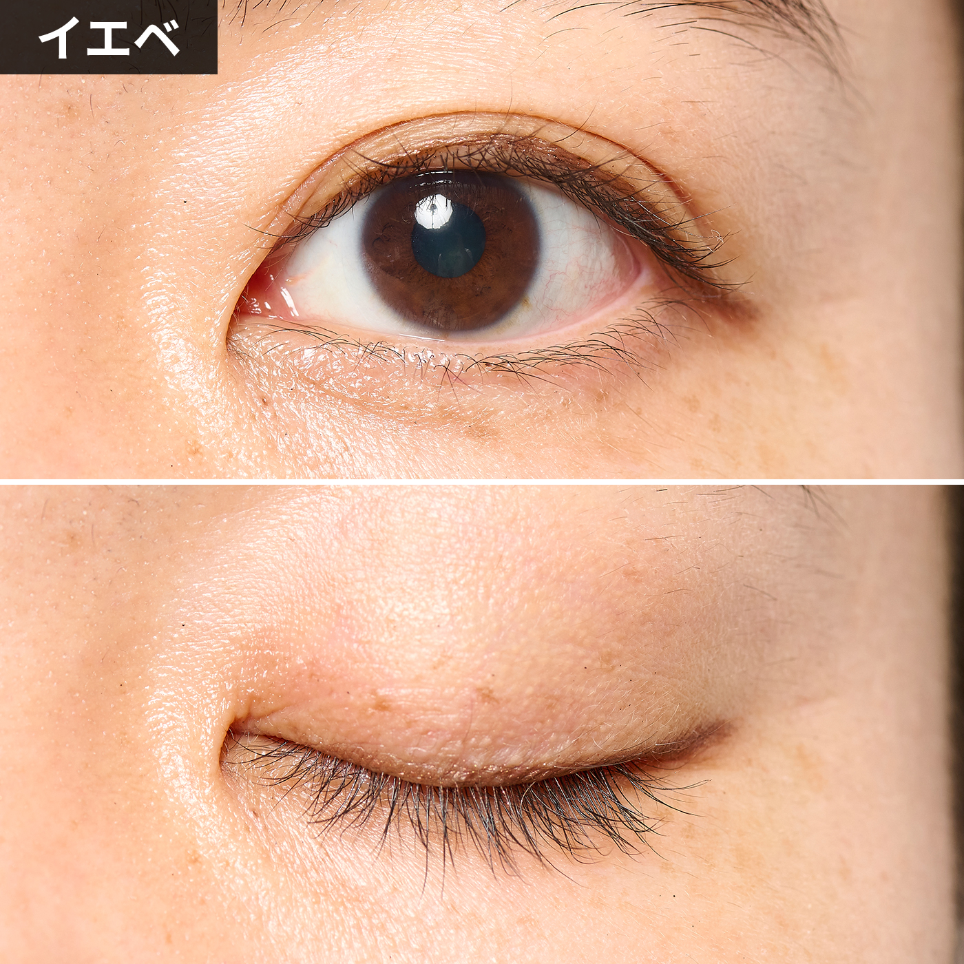 確認用　オルビスアイライナーホルダー 確認用 オルビスアイライナーホルダー 確認用 オルビスアイライナー