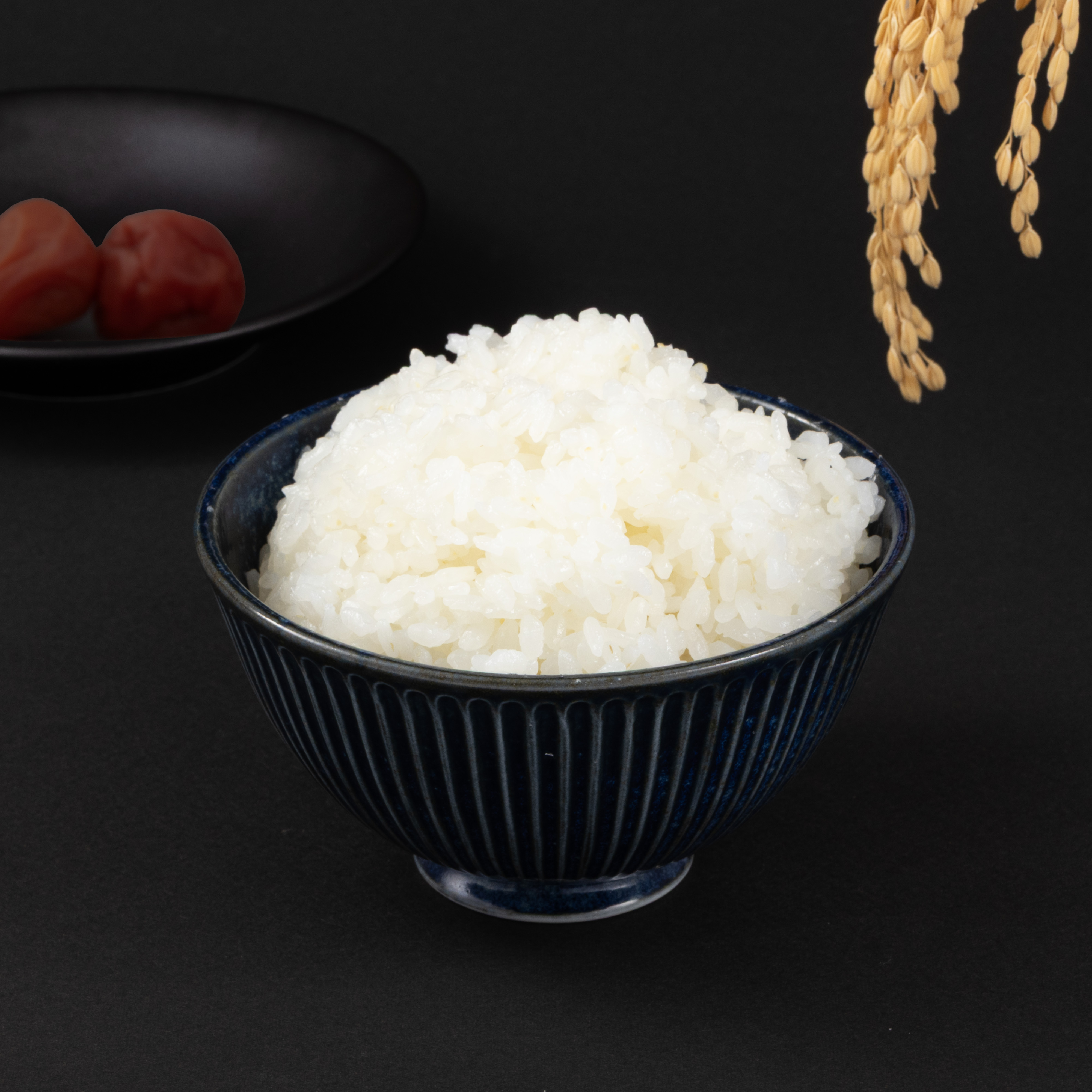 ミニ炊飯ジャー NJ201 3