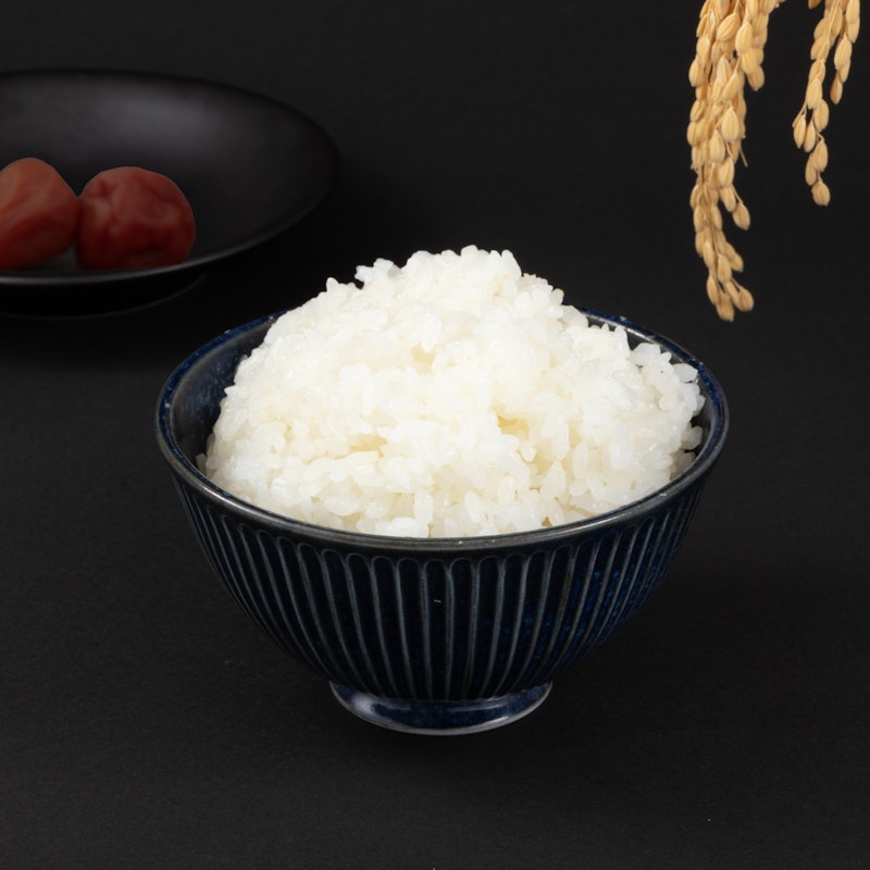 ミニ炊飯ジャー NJ201 3