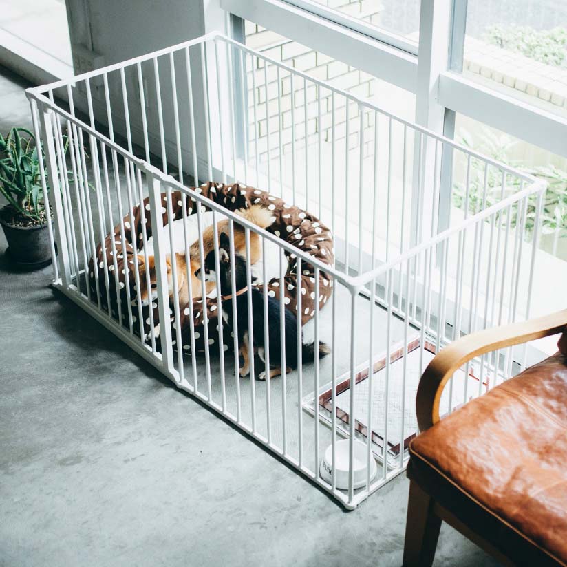 犬用サークルのおすすめ人気ランキング10選 リーズナブルで使い勝手も抜群 Mybest