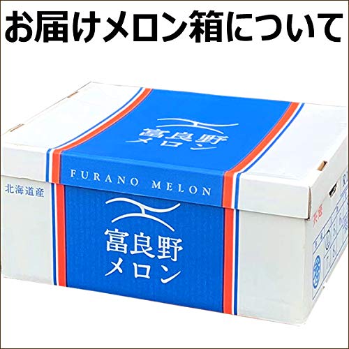 富良野メロン 2