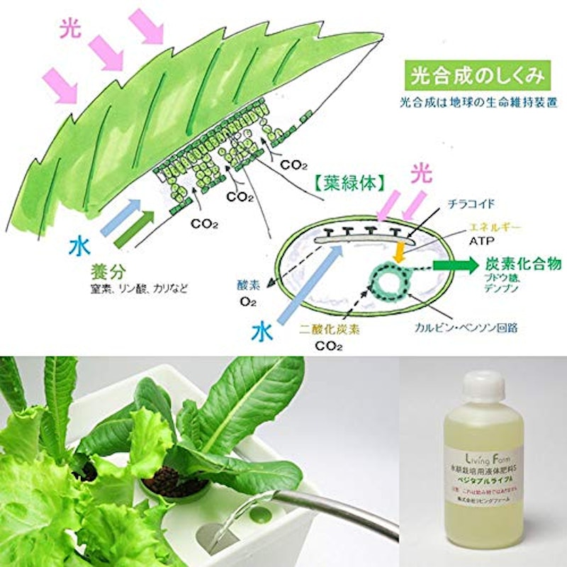 水耕栽培用 液体肥料S 2