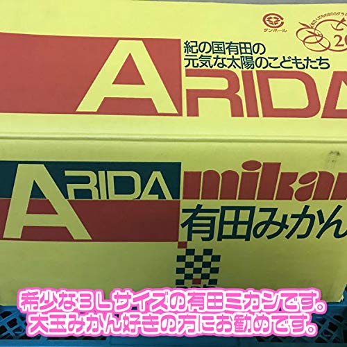 和歌山県産 有田・下津みかん 3
