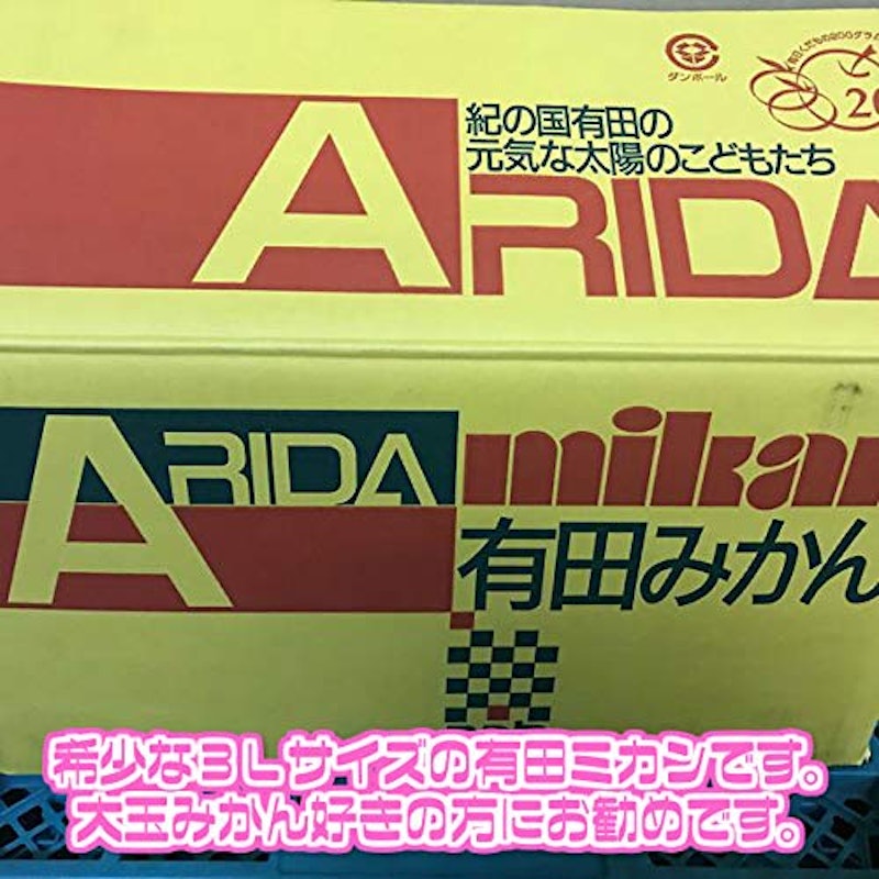 和歌山県産 有田・下津みかん 3