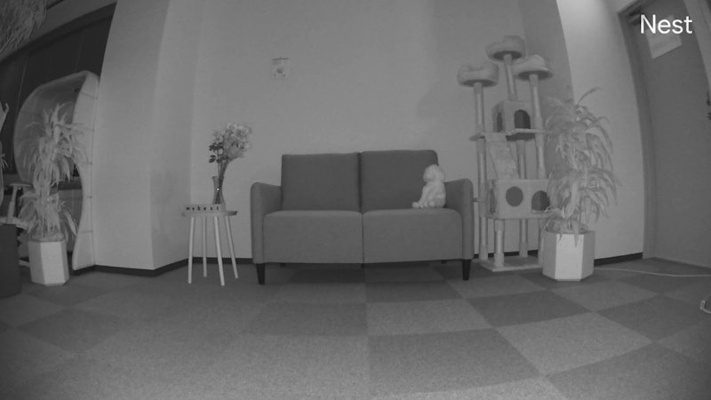 Google Nest Cam 3