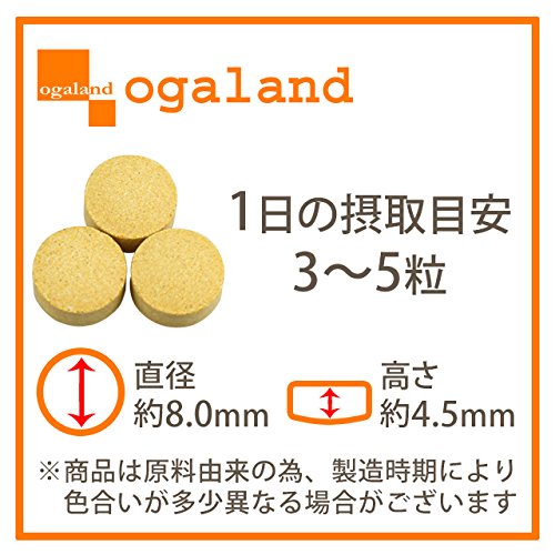 酒皇 2