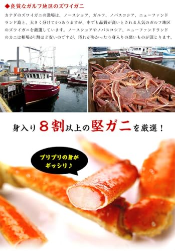 ボイルずわいがに姿 6