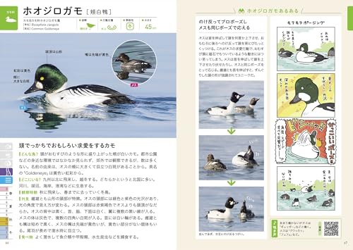 探す、出あう、楽しむ 身近な野鳥の観察図鑑 5