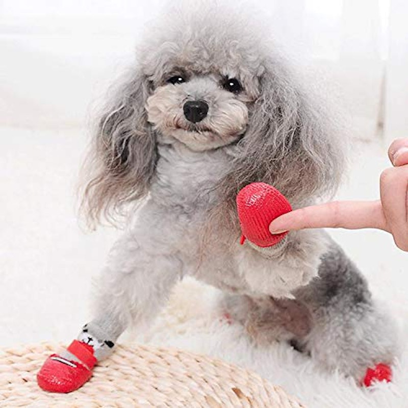 犬用ソックス 3