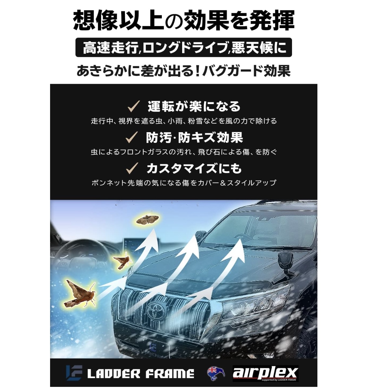 ランドクルーザー プラド専用バグガード 3
