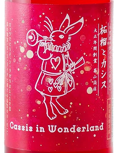 柘榴とカシス  2