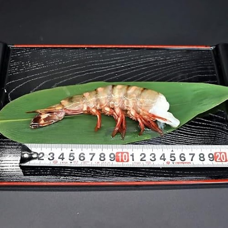 天然シータイガー 3