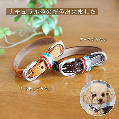超小型犬・小型犬専用首輪 4