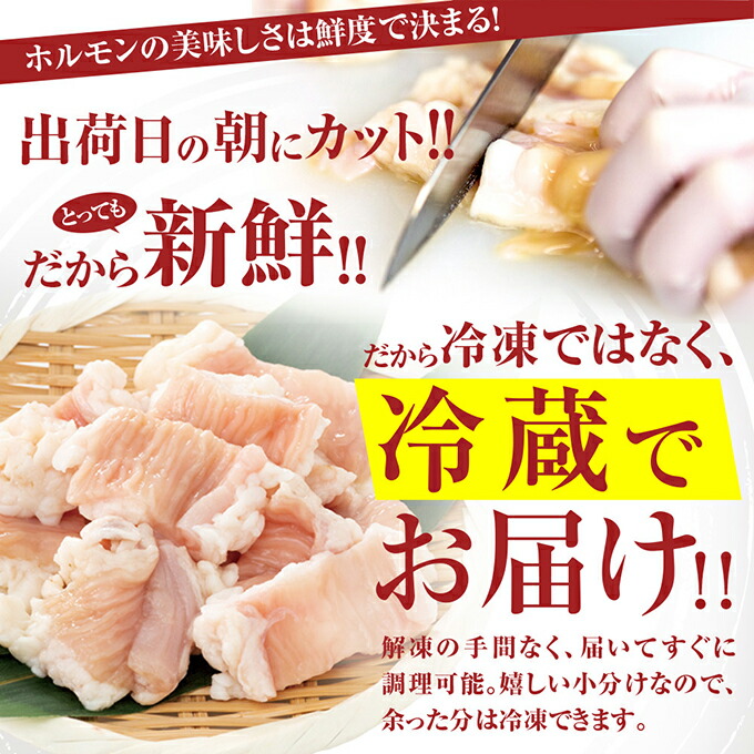 シマチョウ テッチャン 2