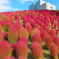 湯沢東映ホテル 8