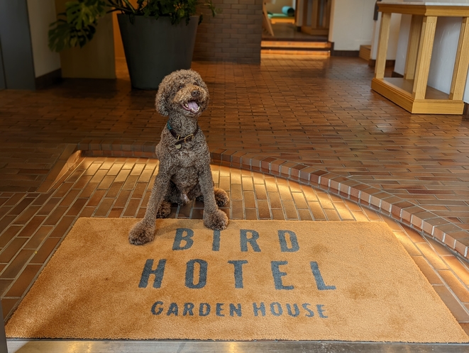BIRDHOTEL 4