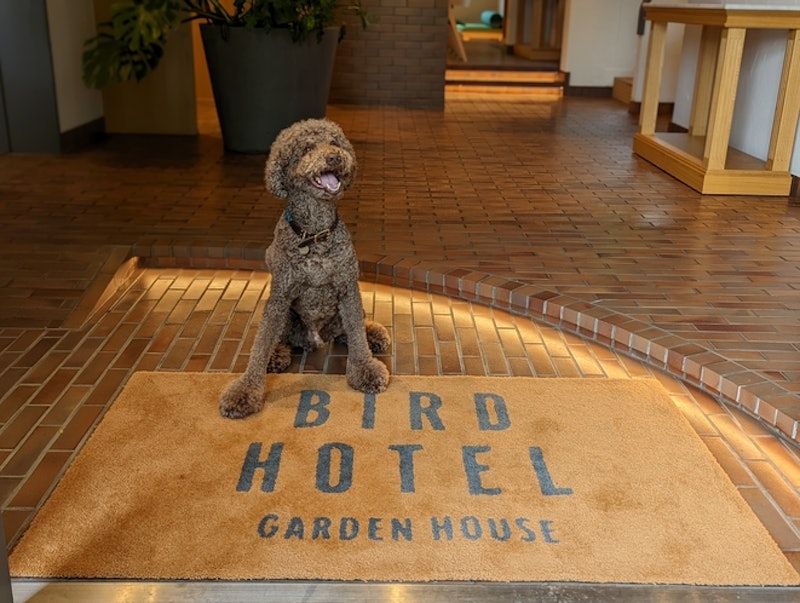 BIRDHOTEL 4