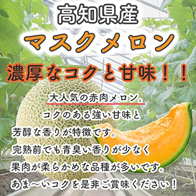 高知県産 赤肉 マスクメロン 2