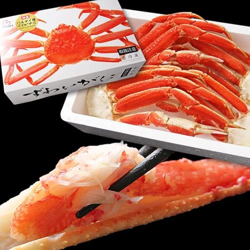 特大 ずわいがに 脚 1.5kg 1