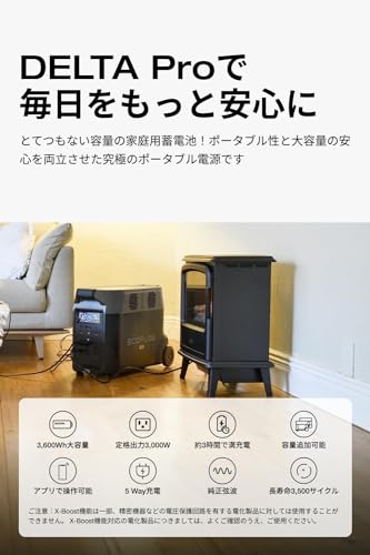  DELTA Pro 6