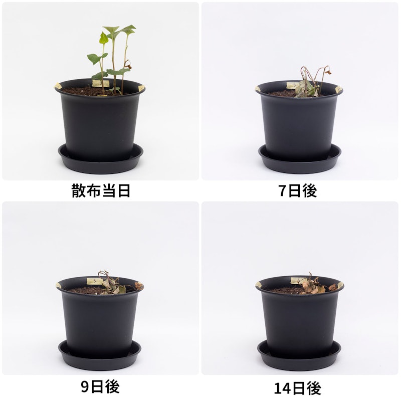 カダン除草王シリーズプロ 除草王シャワーS 3