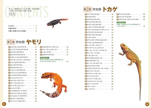 爬虫類図鑑のおすすめ人気ランキング【2024年】 | マイベスト