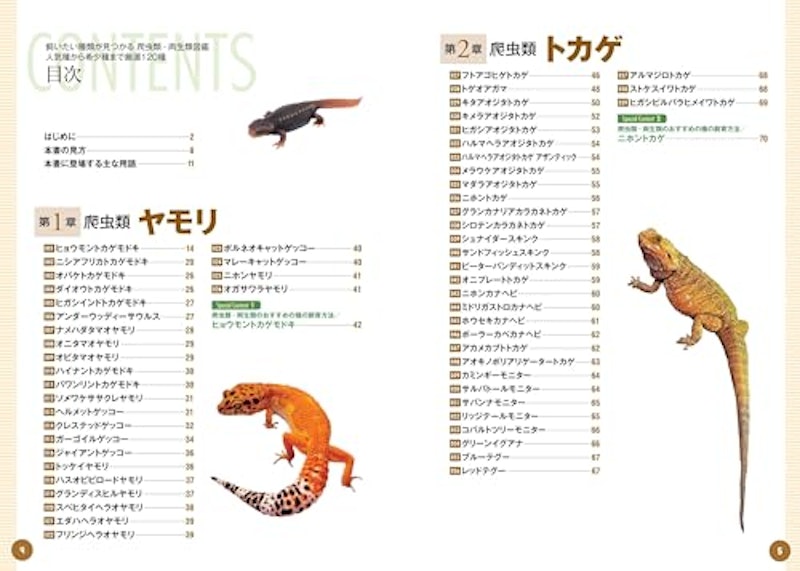 飼いたい種類が見つかる爬虫類・両生類図鑑 2