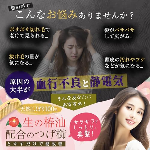 Styleneo 美姿ノ和櫛 2