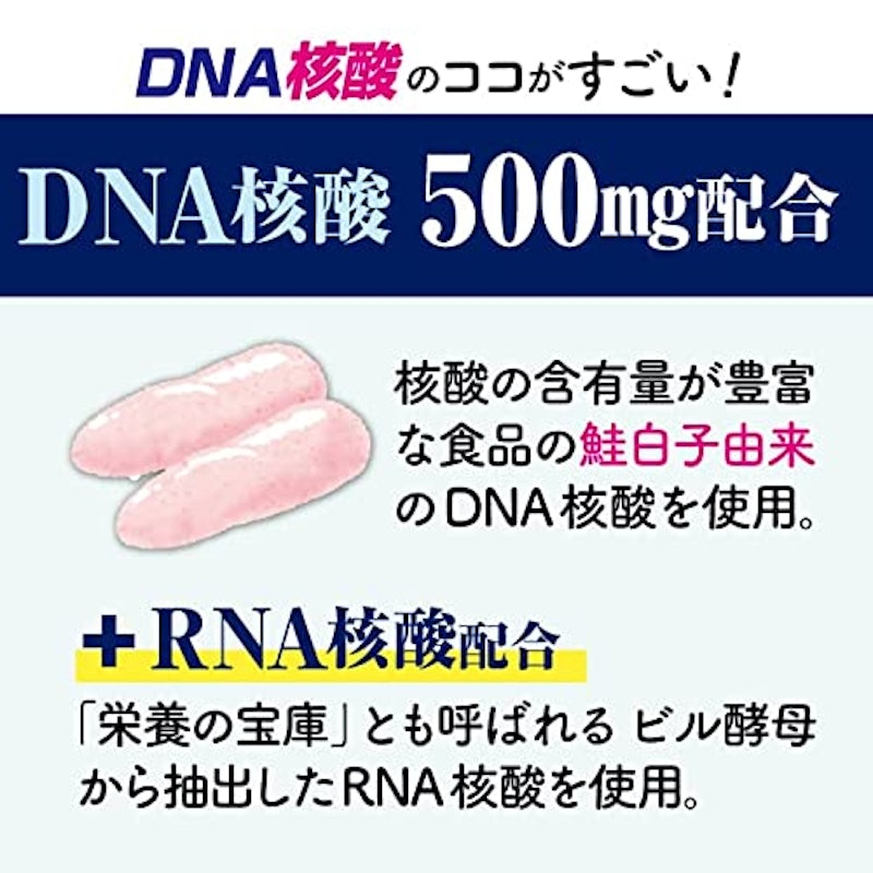 DNA核酸 2