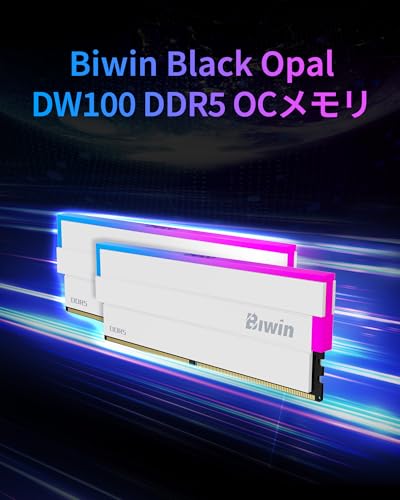 DW100 DDR5 6000MT/s 2