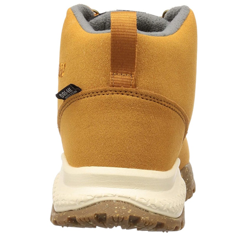 AORAKI EXP CLASSIC 3