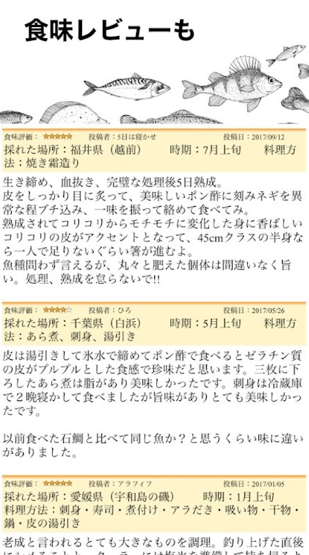 魚みっけ 7