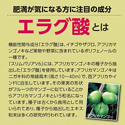 スリムバリアV6 4