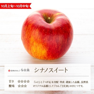 シナノスイート 小玉 食べきりサイズ 4