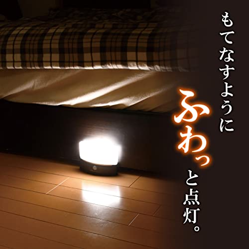 もてなしライト 2