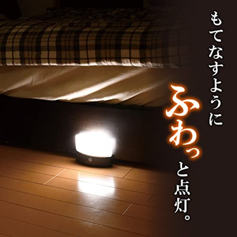 もてなしライト 2