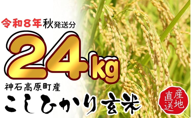 コシヒカリ玄米  1