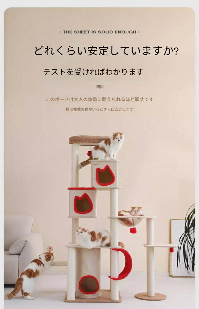 一体型大型猫タワー＆キャッチハウス 10