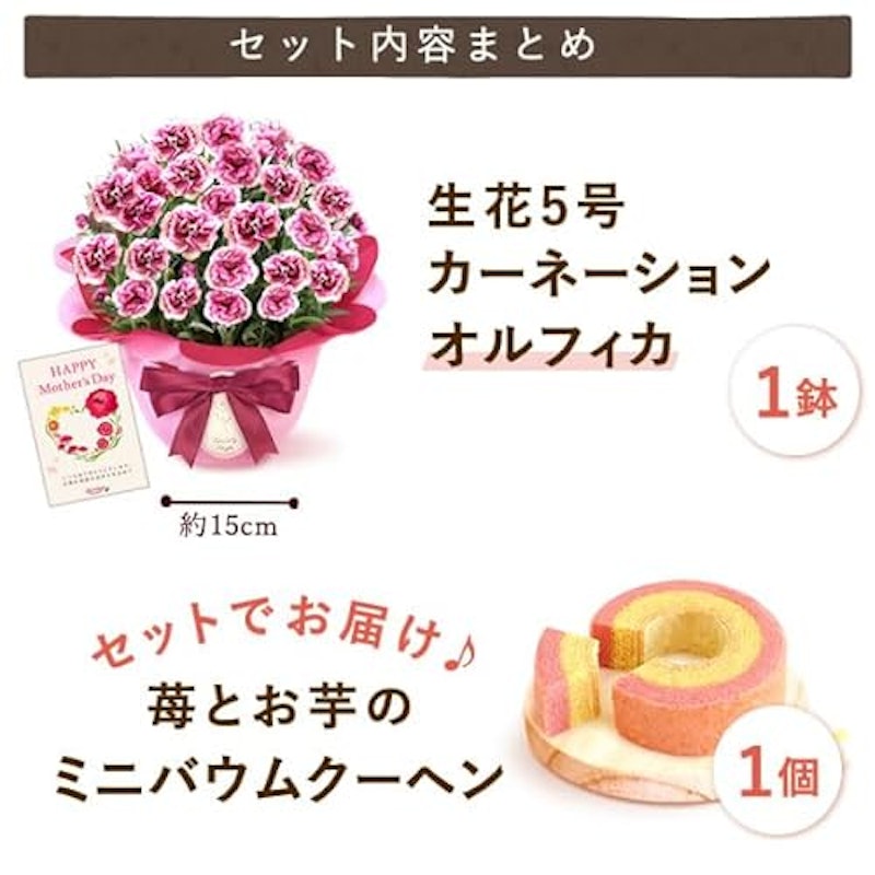 カーネーション ミニバウムクーヘンセット 4