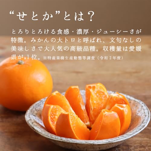 ベビー母恵夢 愛媛のせとか 4