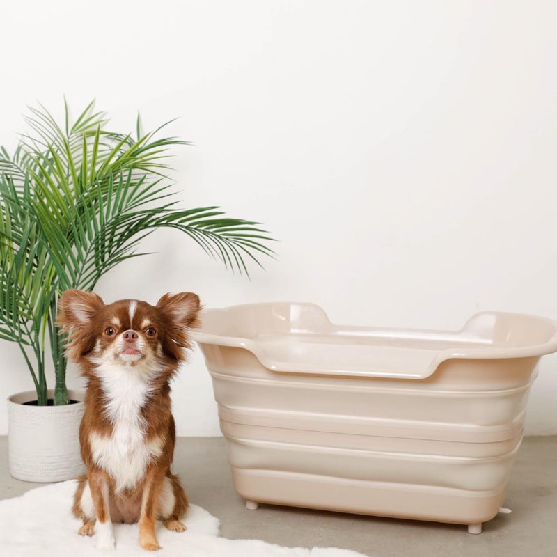 折りたたみ式ペットバス 4