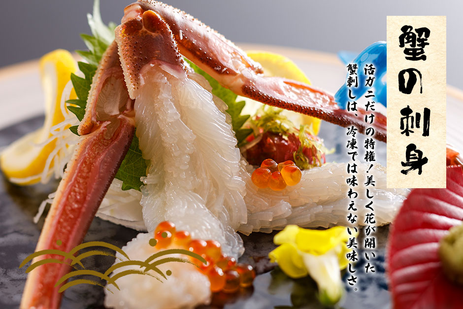兵庫県水揚げ 松葉ガニ 6