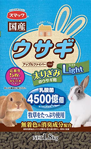 ウサギライト 1