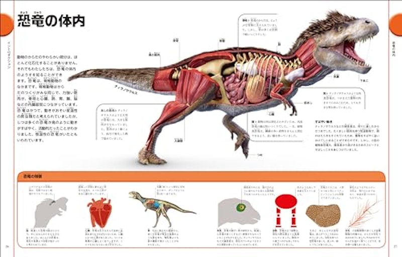 改訂版 恐竜と古代の生き物図鑑 2