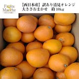 みかん10kgのおすすめ人気ランキング【2026年6月】 5